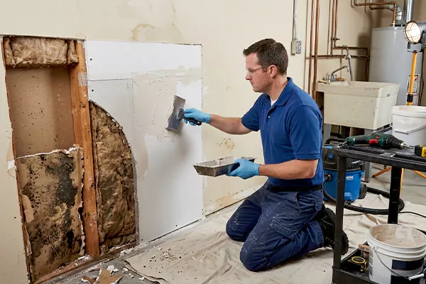Mold and Drywall Repair Palm Springs