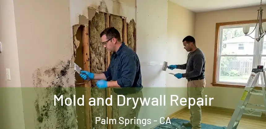 Mold and Drywall Repair Palm Springs - CA