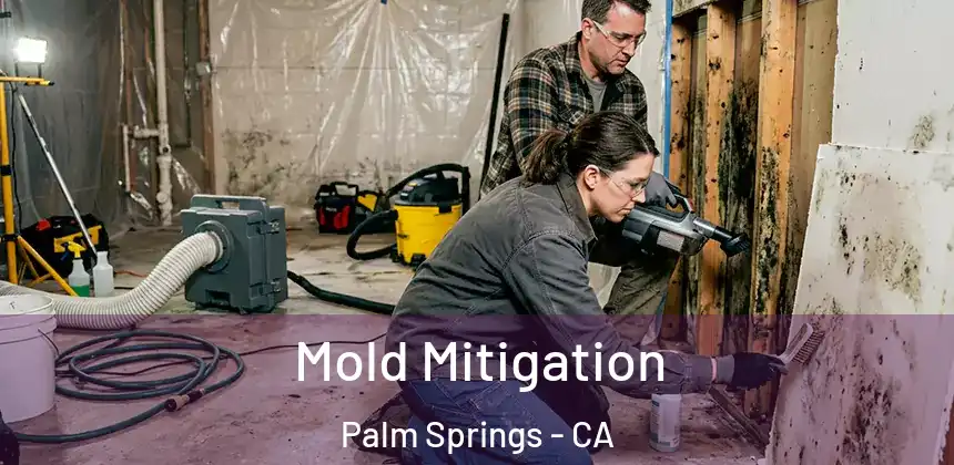  Mold Mitigation Palm Springs - CA