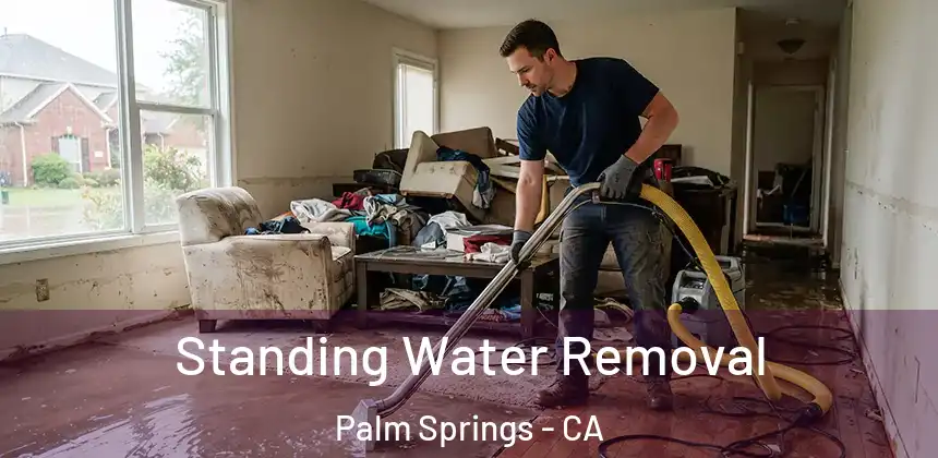  Standing Water Removal Palm Springs - CA