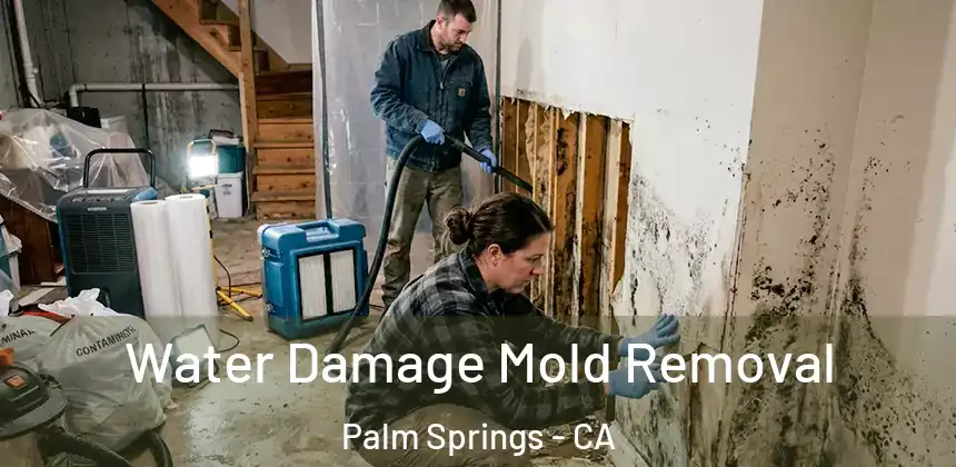  Water Damage Mold Removal Palm Springs - CA